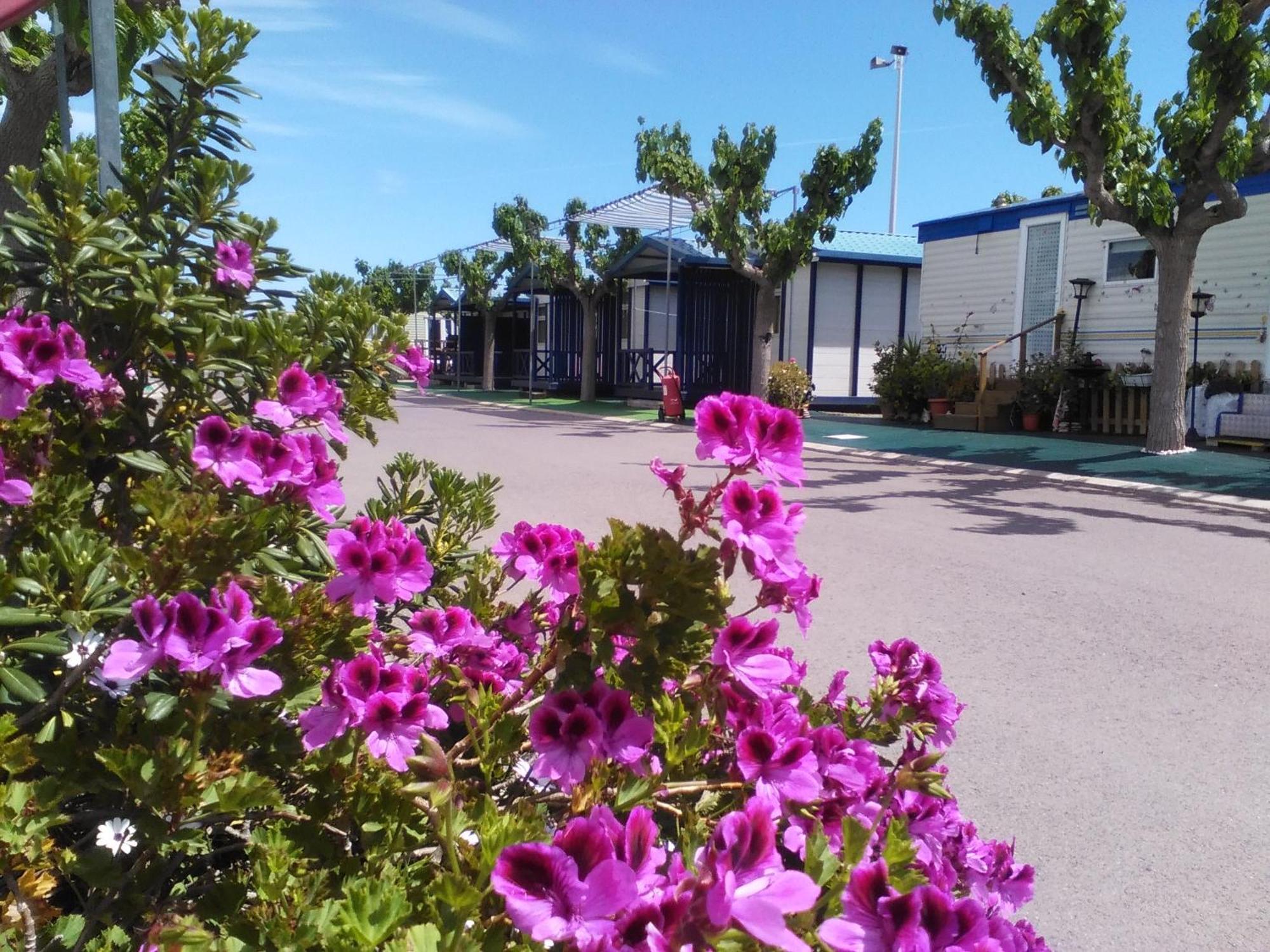 Camping Y Bungalows Monmar Moncófar Pokój zdjęcie