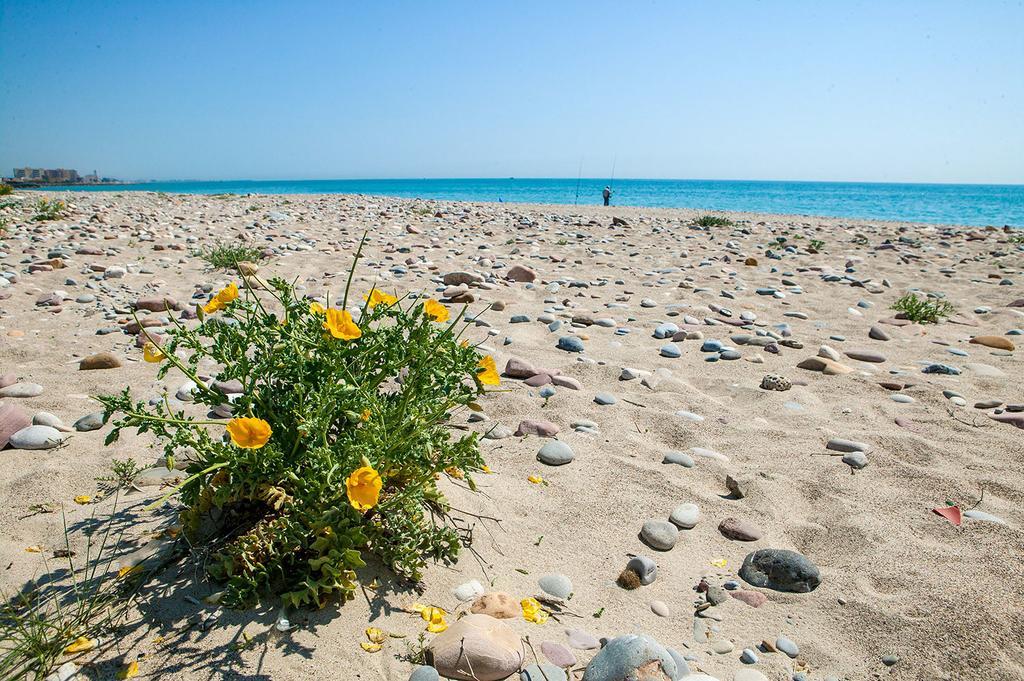 Camping Y Bungalows Monmar Moncófar Zewnętrze zdjęcie